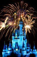 Magic Kingdom 2013