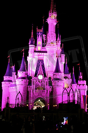 Disney Fireworks 2013-15